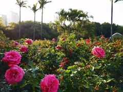 -人民公园(罗湖区)