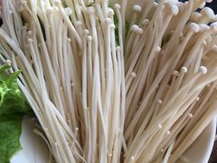 金针菇-陈府大宅门成都火锅·手切鲜肉(太原街店)