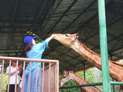 -秦皇岛野生动物园