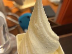 -野人先生Gelato(上海长宁龙之梦店)