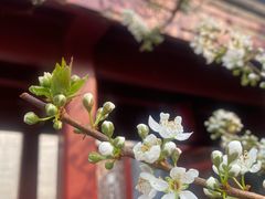 -李叔同故居纪念馆