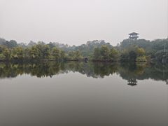 -张坝桂圆林公园