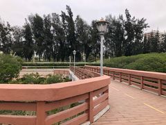 -宝安西湾红树林湿地公园