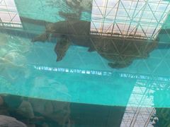 -望儿山温泉水乐园