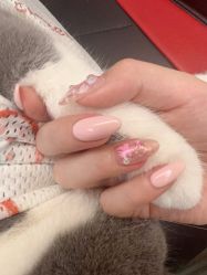 -H12 STAR日式美甲美睫专门店