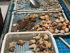 -码头鲜精致威海菜(欧乐坊店)