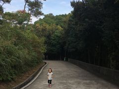-中山市树木园