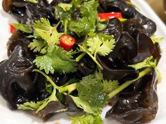 木耳-三湘四水正宗湘菜(君峰路店)