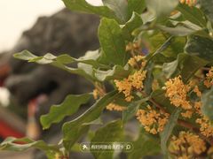 -颐和园