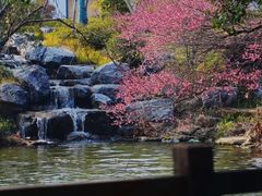 -中国茶叶博物馆(双峰馆区)