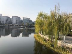 -孺子亭公园