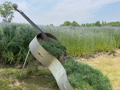 -同里国家湿地公园