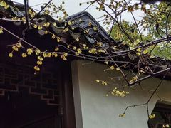 -上海醉白池公园