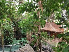 -北京植物园-展览温室