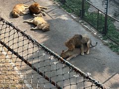 -大连森林动物园