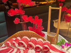-万达广场(济南高新店)