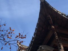 -塔川景区