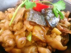 -石岐乳鸽村(南海第三分店)