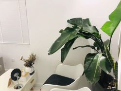 -紫御国际抗衰ZOE ANTI AGING