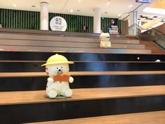 -ROCKPLUS攀岩馆(环宇城店)