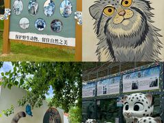 -青藏高原野生动物园