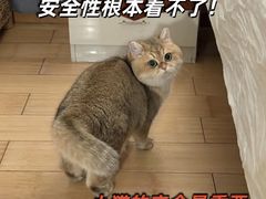 -四月宠物医院·猫专科·心脏专科·内科(转塘店)