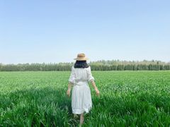 -汉长安城未央宫国家考古遗址公园