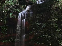 -碧峰峡风景区