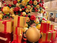 -北京中国大饭店