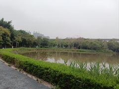 -琅岐红光湖公园