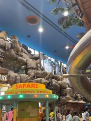 -卡通尼·Safari非洲探索乐园·生日会(金桥国际商业广场店)