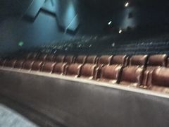 -萧山德纳MAX影城