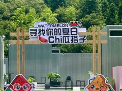 -玉苍山国家森林公园