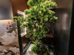 -苏淮景·苏闽融创菜·海鲜(原空港井河轩店)