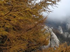 -崂山巨峰游览区