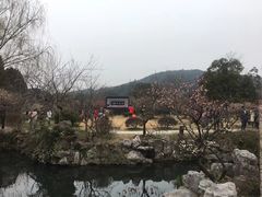 -香雪海