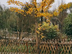 -贵阳市花溪国家城市湿地公园