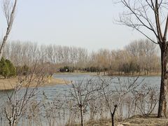 -东郊湿地公园