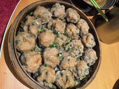 崩蒸手打肉丸-园林美食城·本土农家菜(杨和镇店)