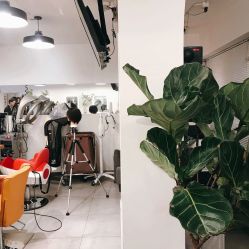 -净漪造型 PURE RIPPLE