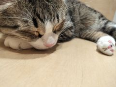 -龙猫仔乐园(惠福东路店)