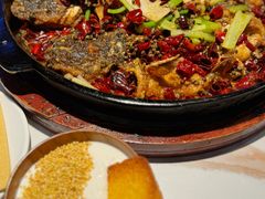 -老板恋上鱼(高新万达店)