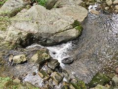 -素山寺森林公园