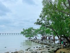 -宝安西湾红树林湿地公园