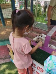 -萌宠亲子动物乐园(槐房万达店)