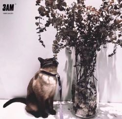 -3AM·S HAIR SALON烫发染发接发