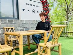 -合肥滨湖国家森林公园