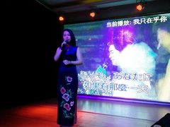 -邓丽君音乐主题餐厅
