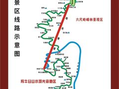 -牛背梁国家森林公园