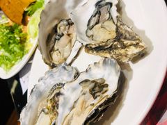 -壹号港湾